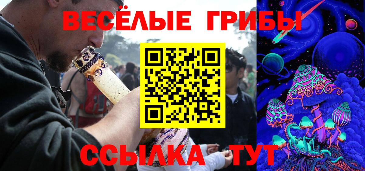 Нефтекумск  купить наркоту  Вход с VPN  Галлюциногенные грибы Cubensis  Псилоцибиновые грибы GOLDEN TEACHER 